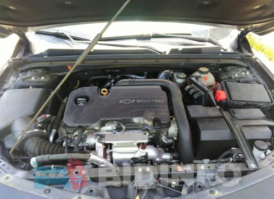 1G1ZE5ST3HF274842 Photo# 10