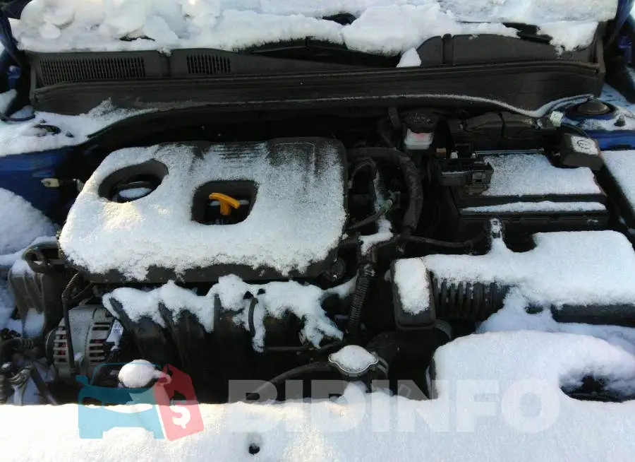 3KPF24AD3ME295038 Photo# 10
