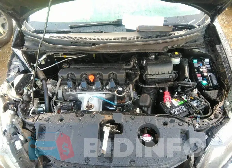 19XFB2F80FE001100 Photo# 10