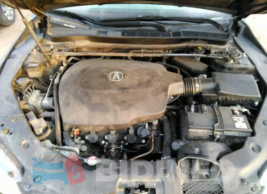 19UUB2F5XFA011084 Photo# 10
