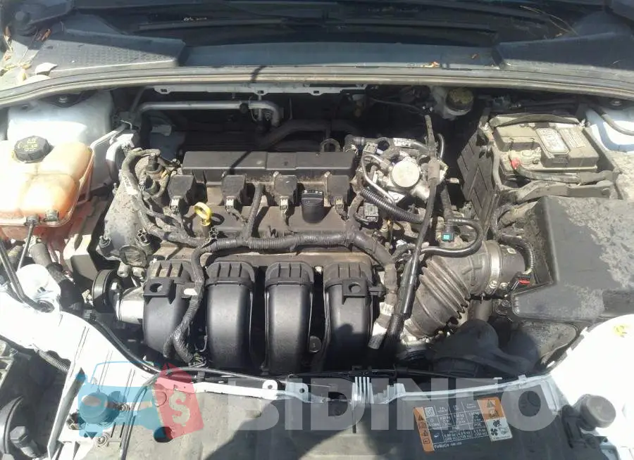 1FADP3E21GL324906 Photo# 10