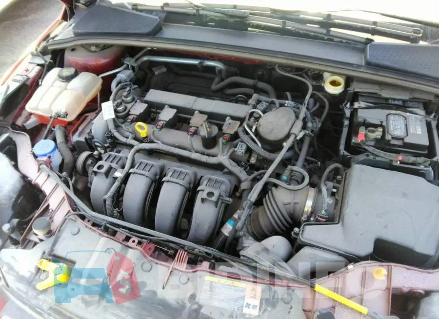 1FADP3K27EL229185 Photo# 10