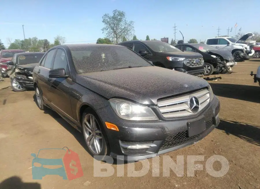 WDDGF8AB2DR248303 Photo# 1