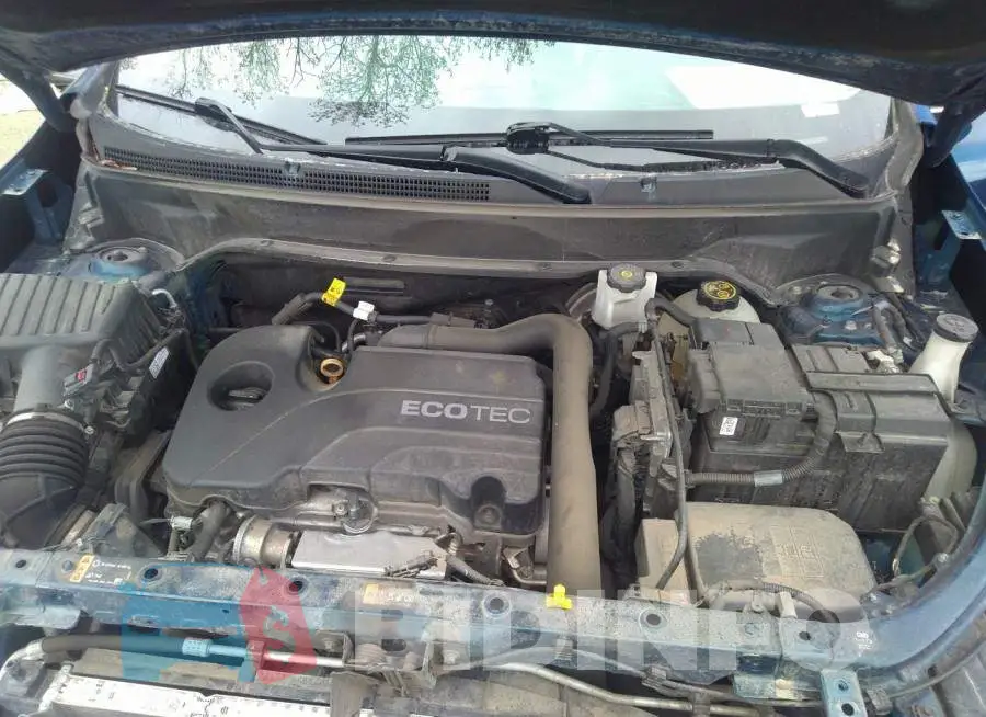 2GNAXTEV5L6156091 Photo# 10
