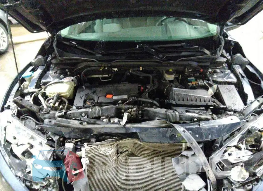 19XFC2F51GE090910 Photo# 10