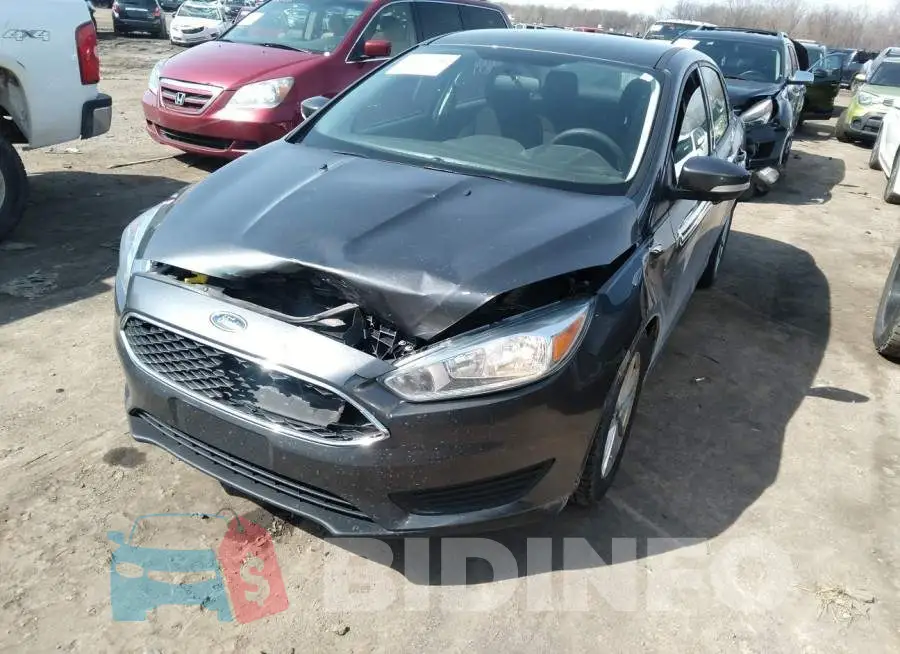 1FADP3F21HL204202 Photo# 6