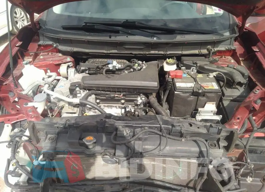 KNMAT2MT5FP527060 Photo# 10