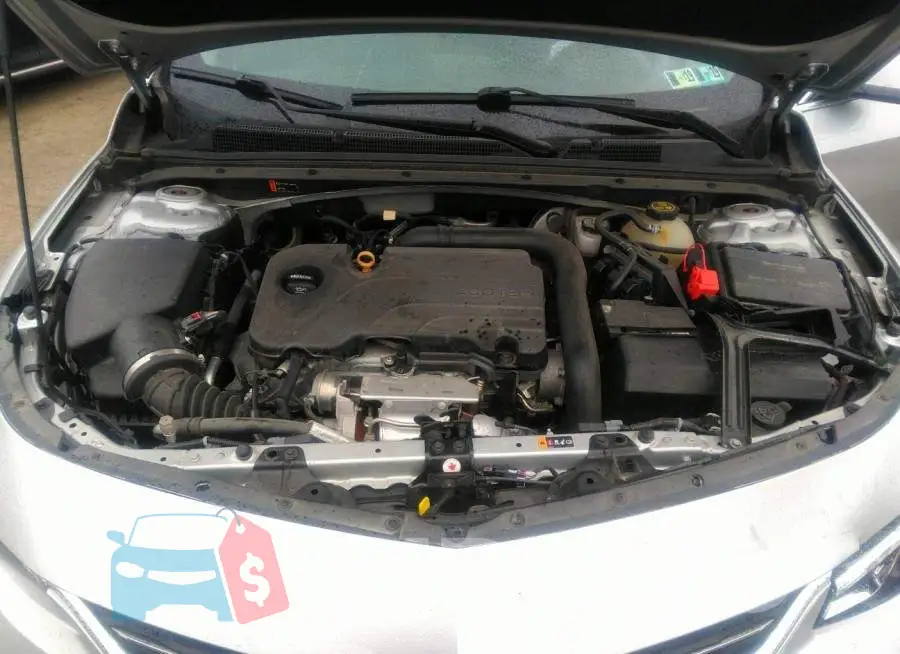1G1ZD5ST5JF265911 Photo# 10