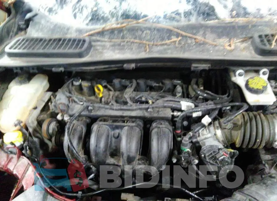 1FMCU0F75GUA88239 Photo# 10
