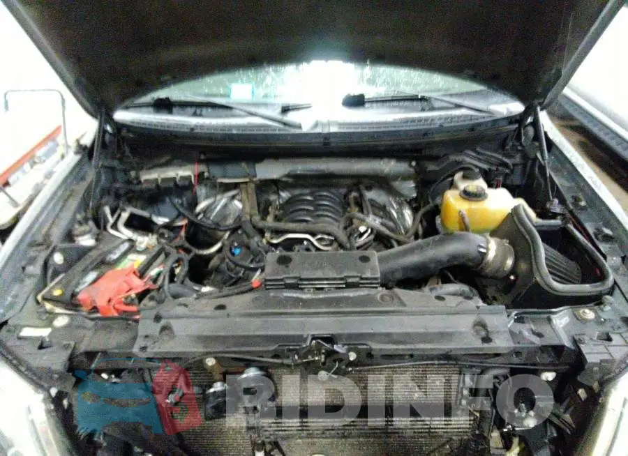 1FTFX1EF9DFD83187 Photo# 10