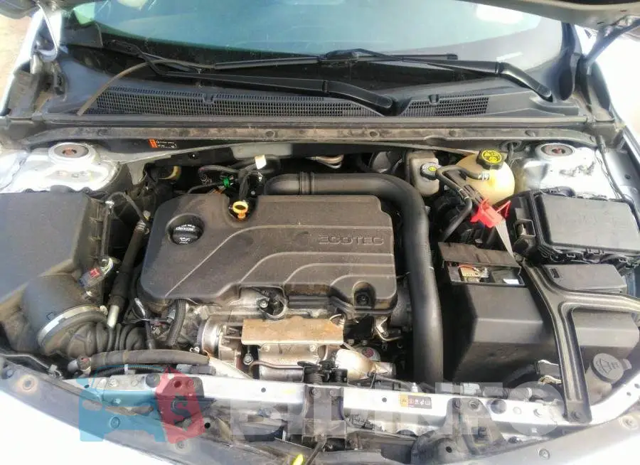 1G1ZD5ST2KF168988 Photo# 10