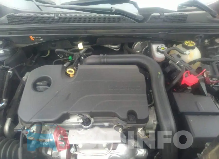 1G1ZD5ST2MF006376 Photo# 10