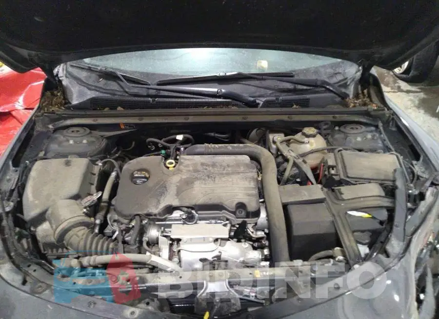 1G1ZD5ST5JF244184 Photo# 10