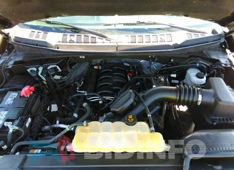1FTEW1E51KFB15009 Photo# 10