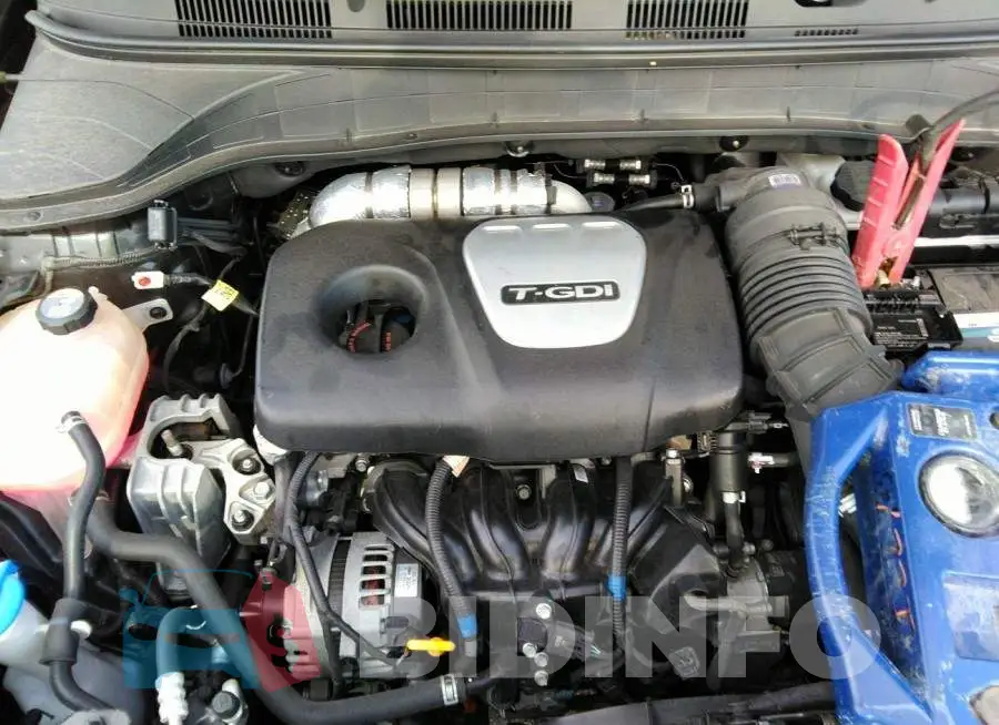 KM8K63A5XMU692880 Photo# 10