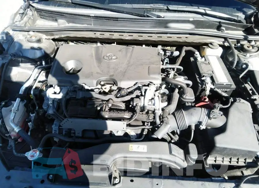 4T1C11AK2LU862001 Photo# 10