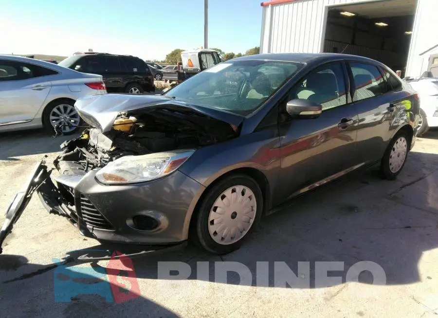1FADP3F29EL356708 Photo# 2