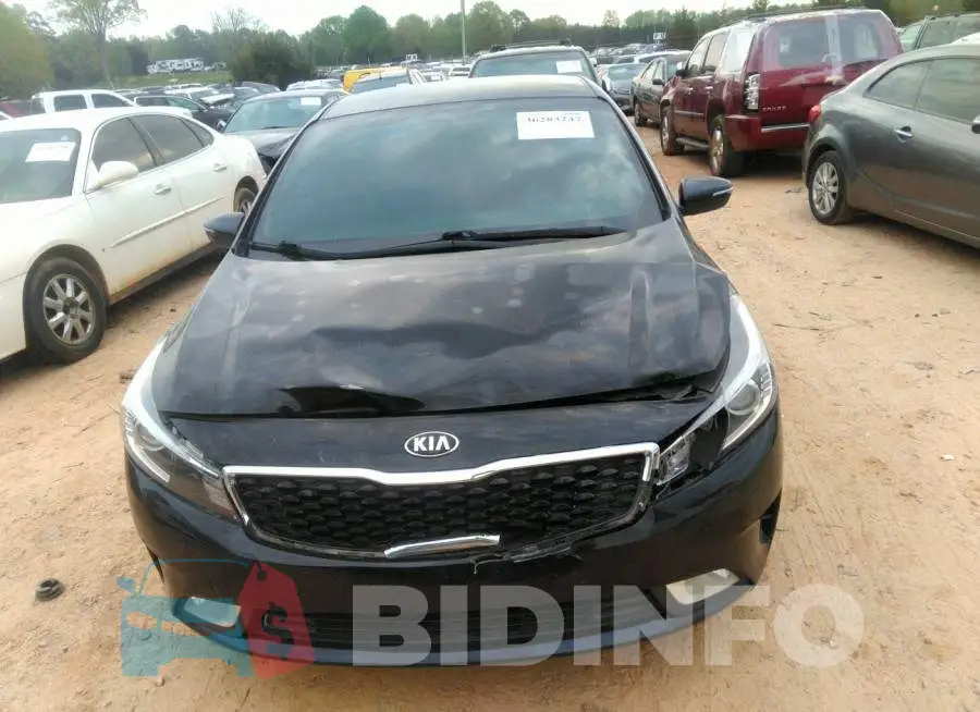 3KPFL4A86HE004344 Photo# 6
