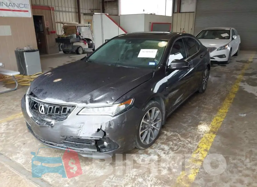 19UUB2F78FA011876 Photo# 2