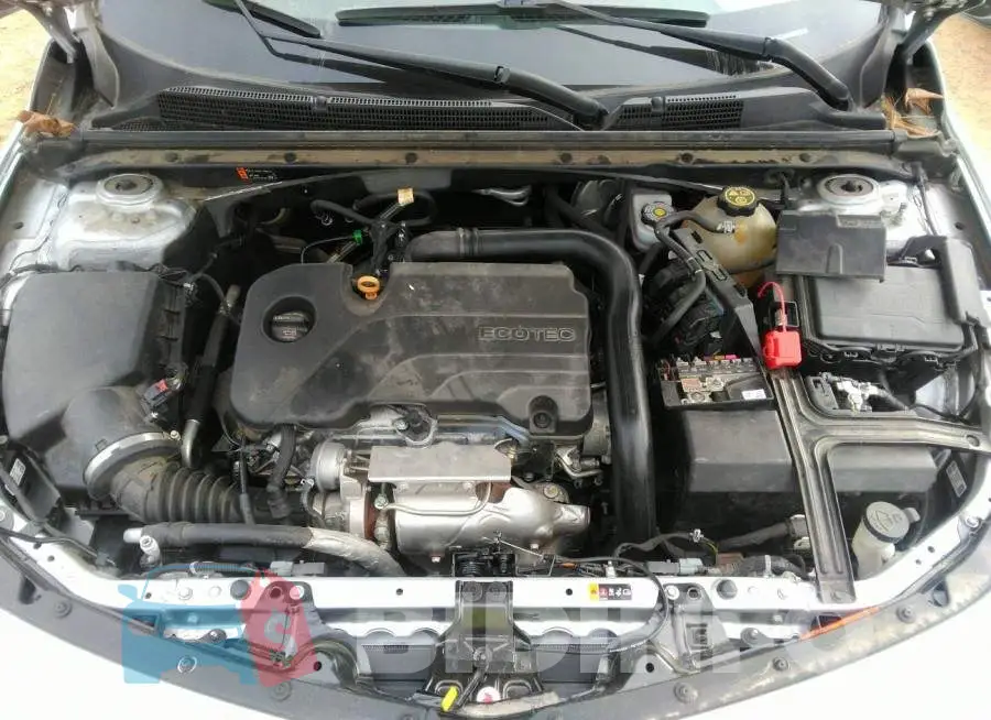 1G1ZD5ST6LF094637 Photo# 10