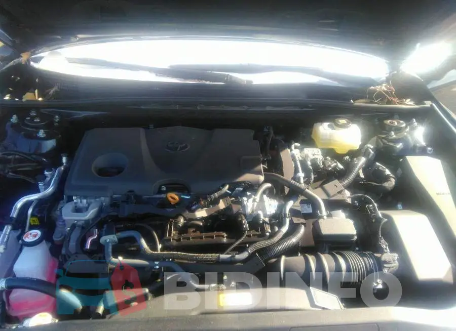 4T1C31AK8PU601598 Photo# 10