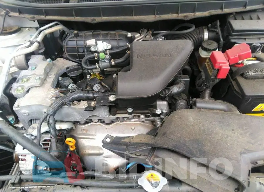 JN8AS5MT8DW517800 Photo# 10