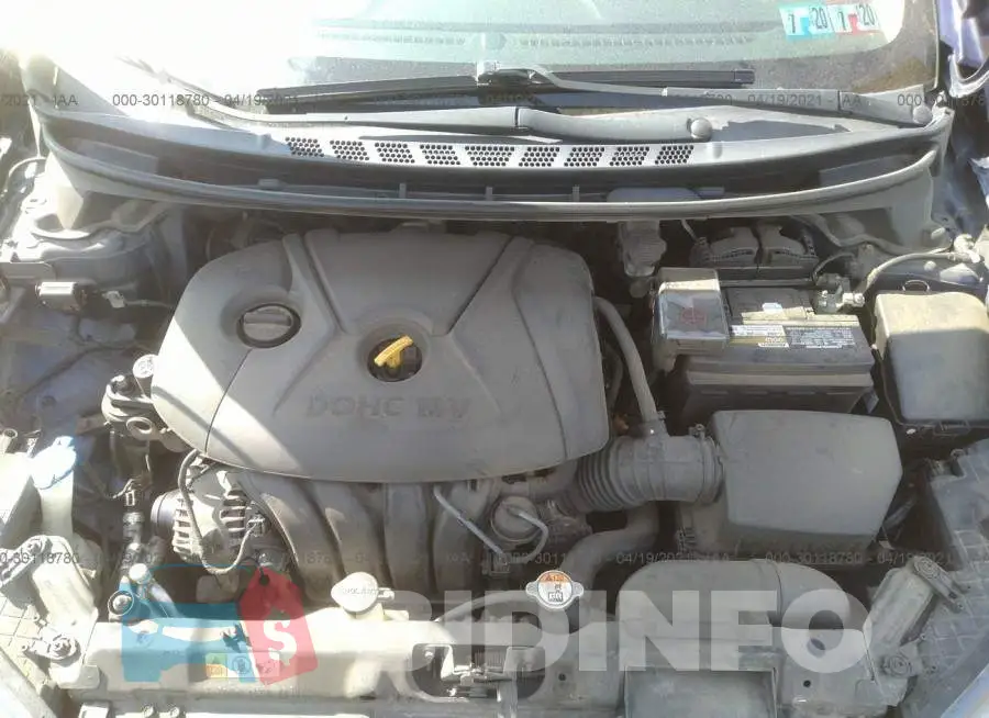 5NPDH4AE8DH196113 Photo# 10