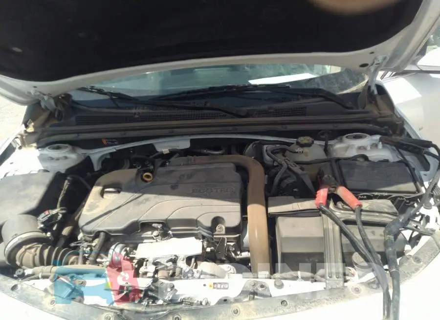 1G1ZD5ST3LF089671 Photo# 10