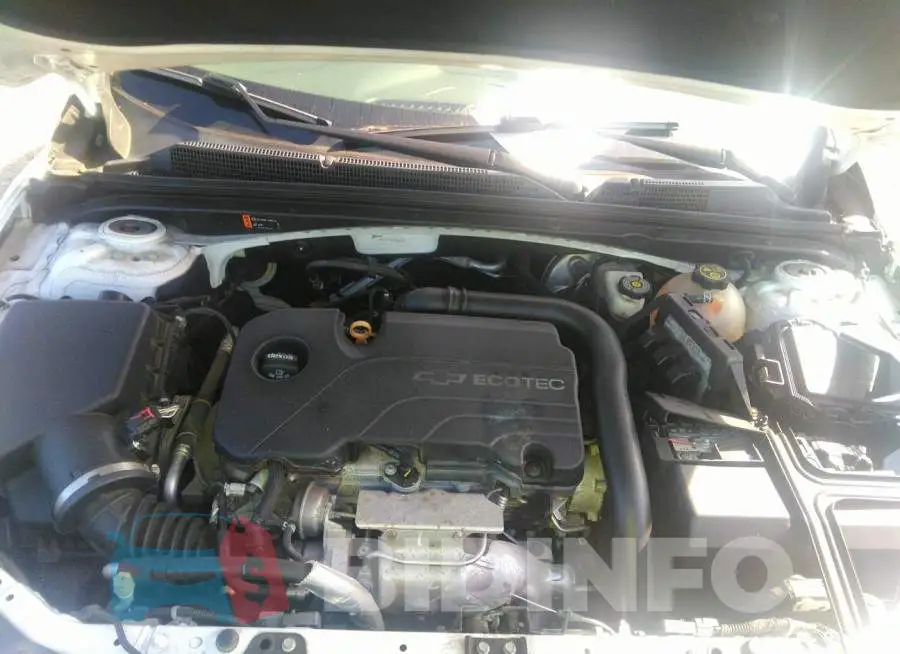 1G1ZE5ST6HF162231 Photo# 10