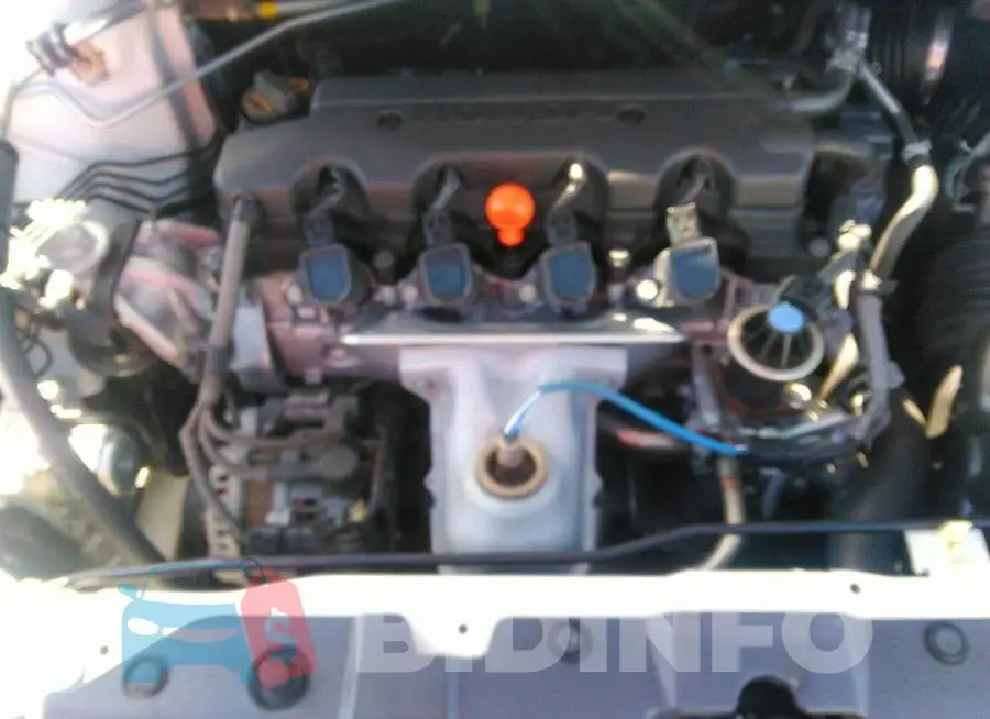 19XFB2F54DE209242 Photo# 10