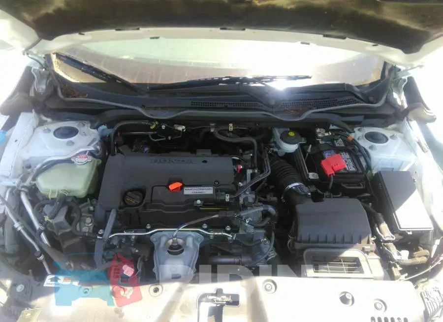 19XFC2F69KE207313 Photo# 10