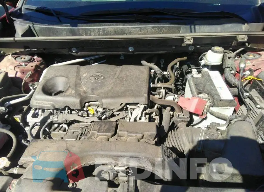 JTMW1RFV2KD500445 Photo# 10