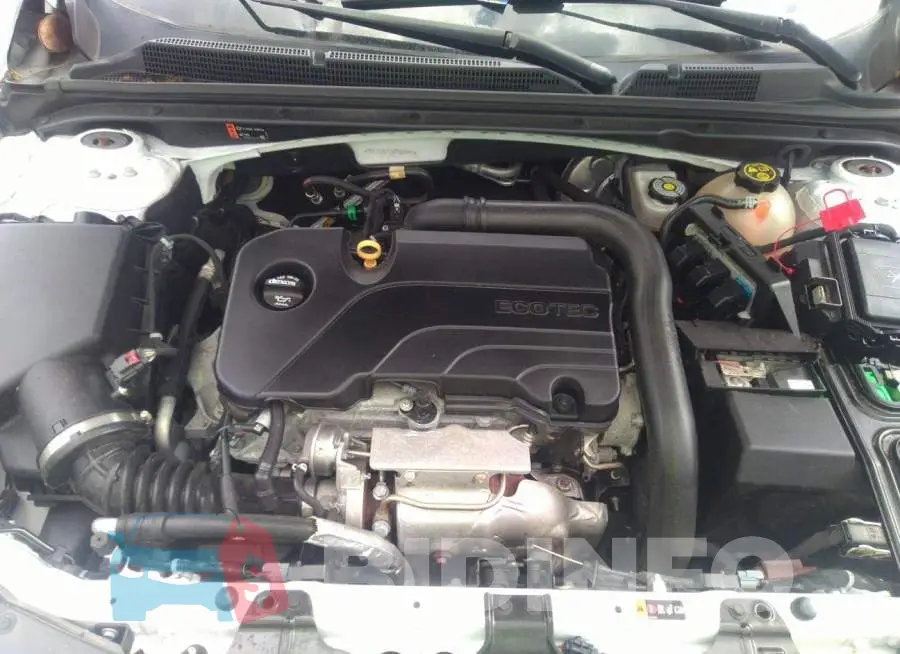 1G1ZC5ST7KF169993 Photo# 10