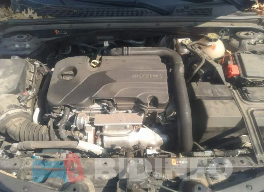 1G1ZD5ST4LF158190 Photo# 10