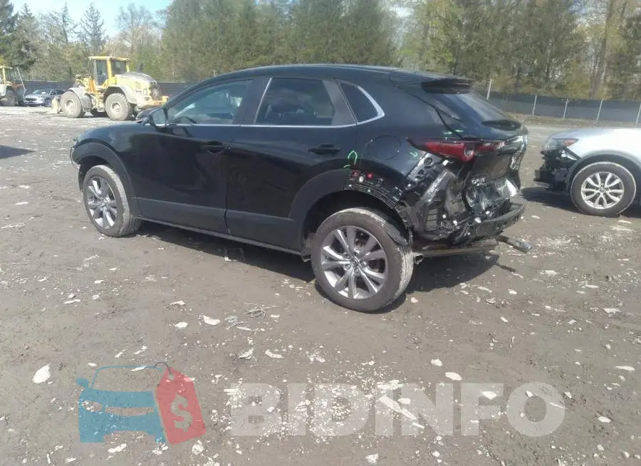 3MVDMBCL2MM251174 Photo# 3