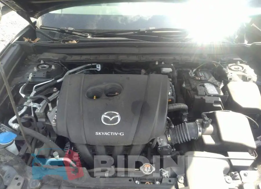 3MVDMBCL2MM251174 Photo# 10