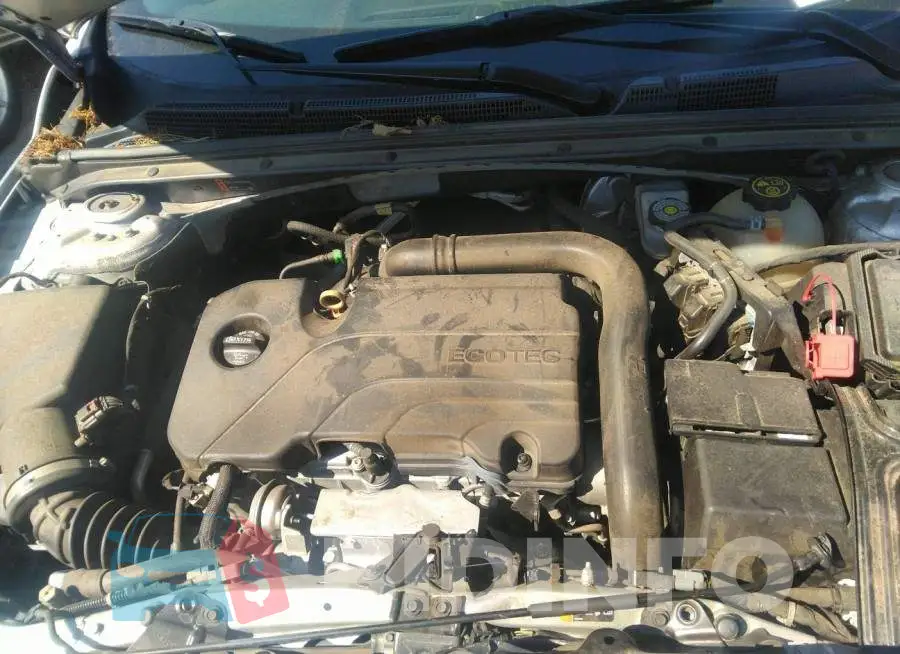 1G1ZD5ST3KF124952 Photo# 10
