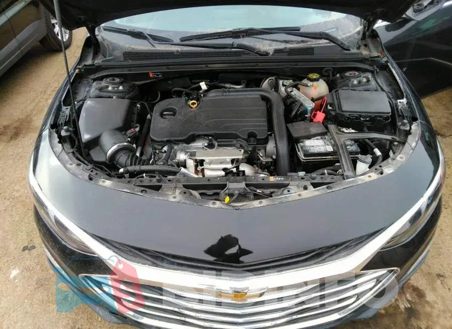 1G1ZD5ST5LF052475 Photo# 10