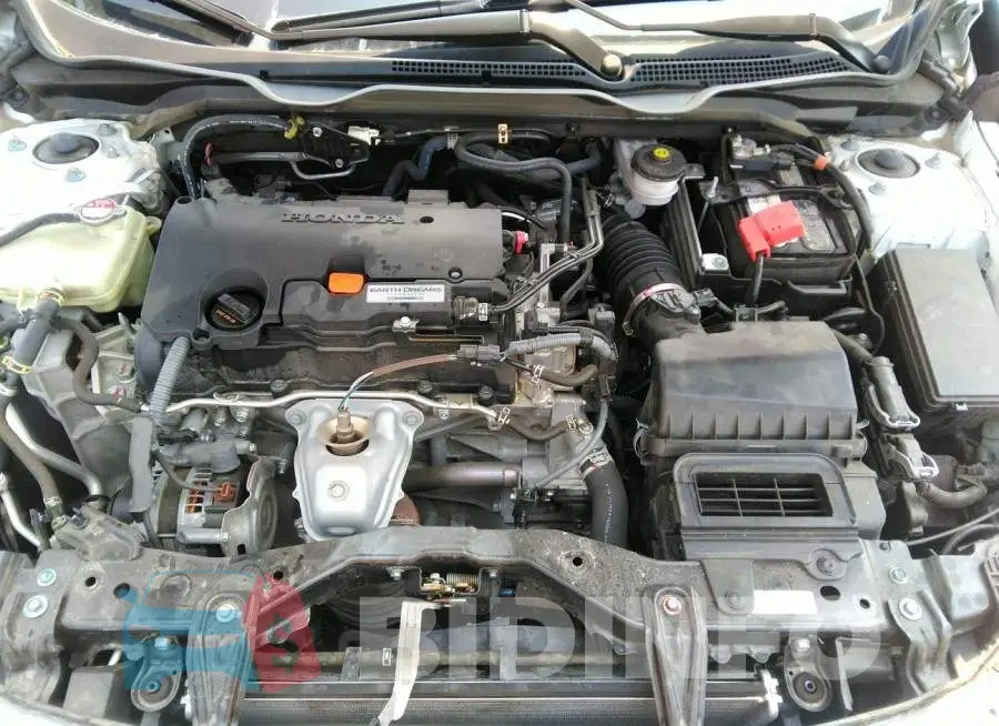 19XFC2F66LE028809 Photo# 10