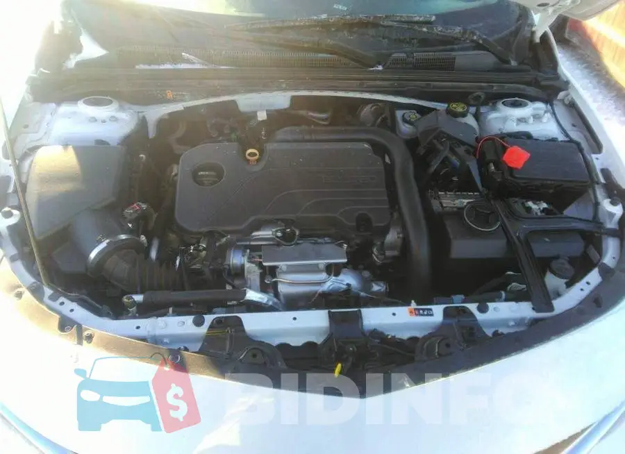 1G1ZD5ST2MF070109 Photo# 10
