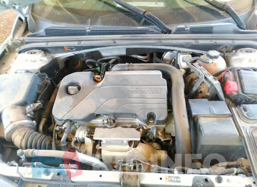 1G1ZD5ST3KF165534 Photo# 10
