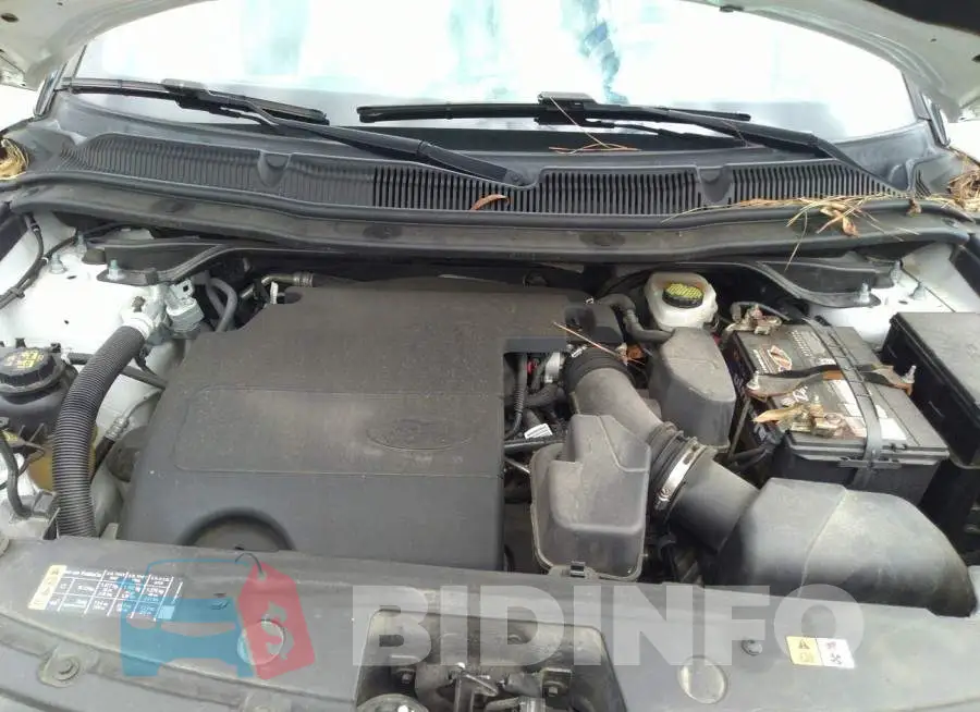 1FM5K8B84HGA94254 Photo# 10