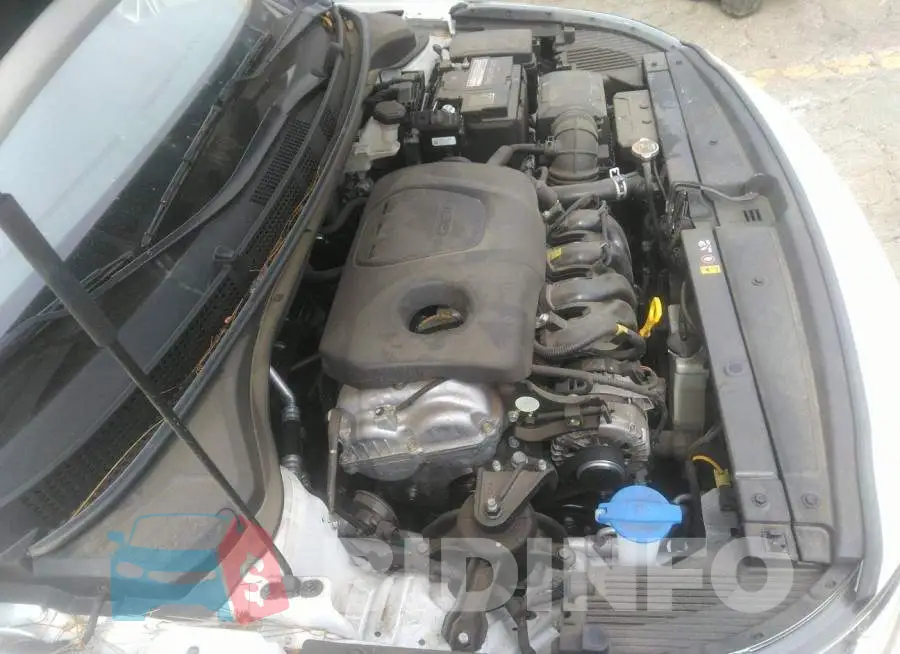 3KPC24A38KE070718 Photo# 10