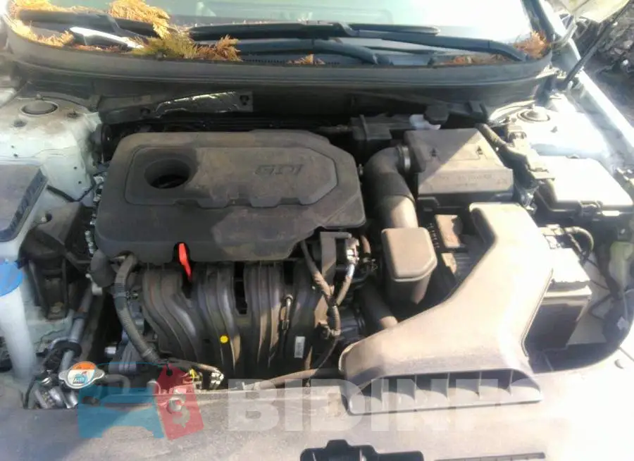 5NPE24AF3KH770533 Photo# 10