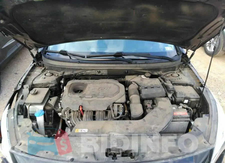 5NPE34AF8HH550259 Photo# 10