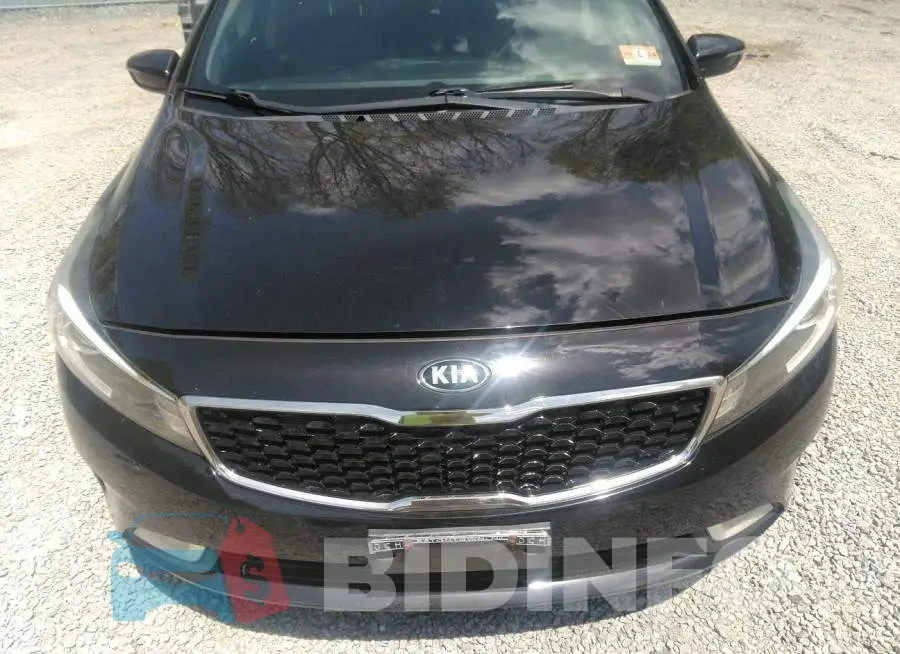 3KPFL4A81HE116985 Photo# 6
