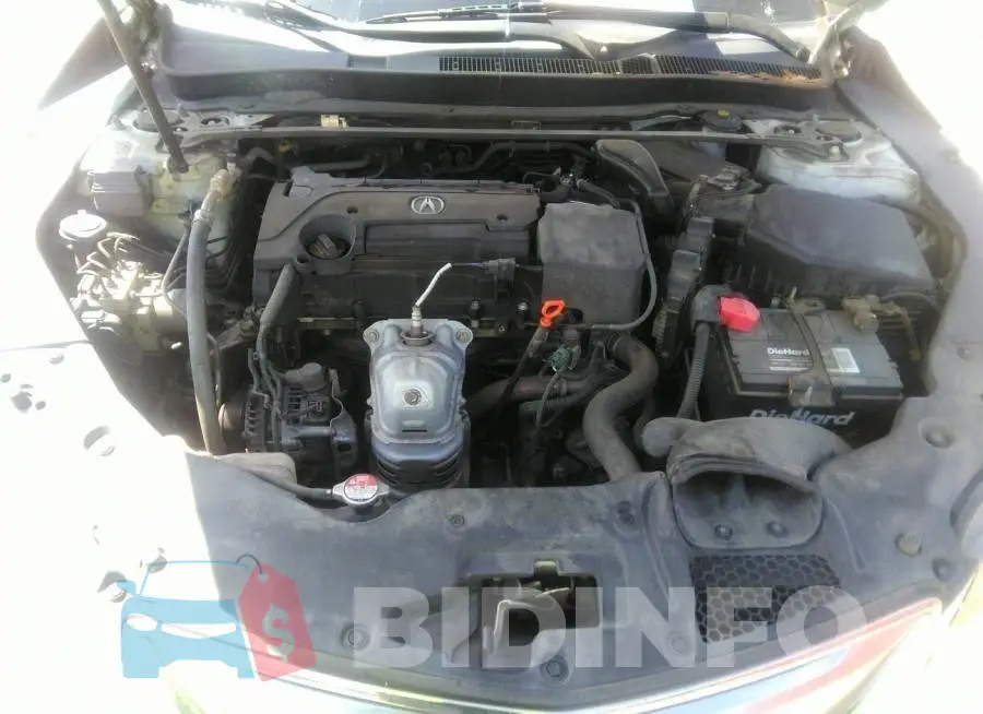 19UUB1F59FA007666 Photo# 10