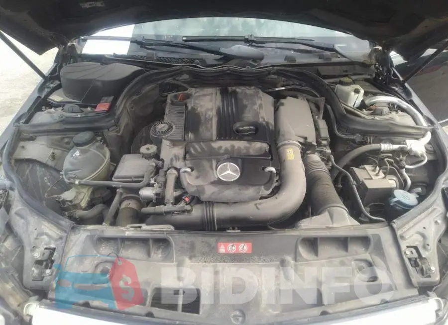 WDDGF4HB4DR262525 Photo# 10
