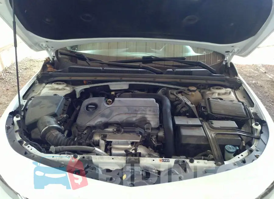 1G1ZD5ST2JF232218 Photo# 10