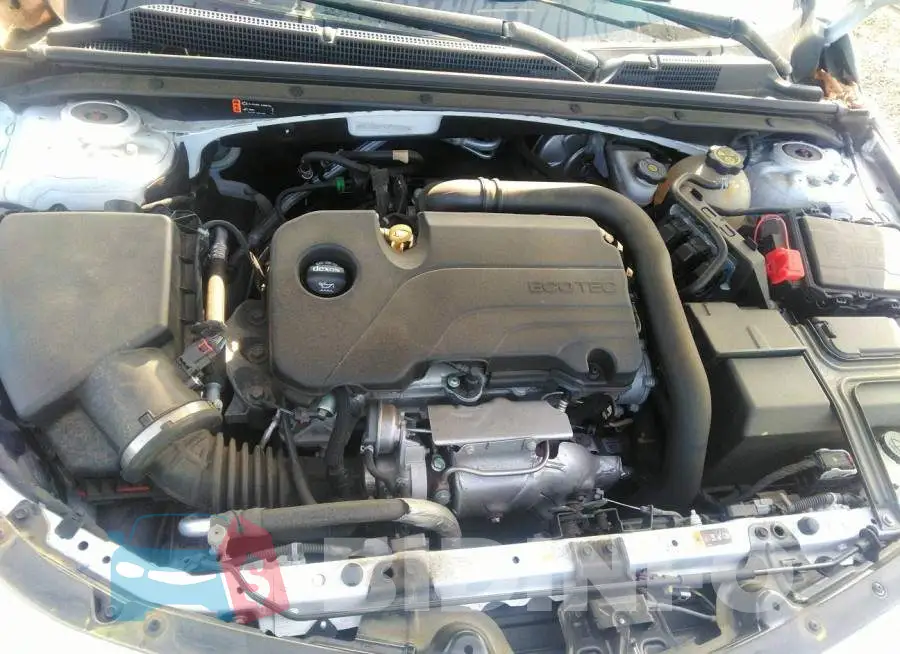 1G1ZD5ST9JF203783 Photo# 10
